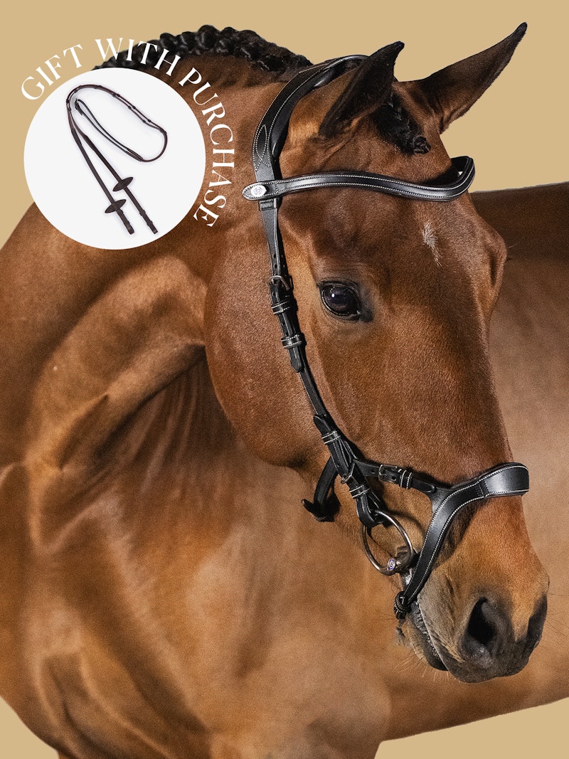 Nirak Bridle + Reins Santa Fe Nirak Bridle + Reins Santa Fe