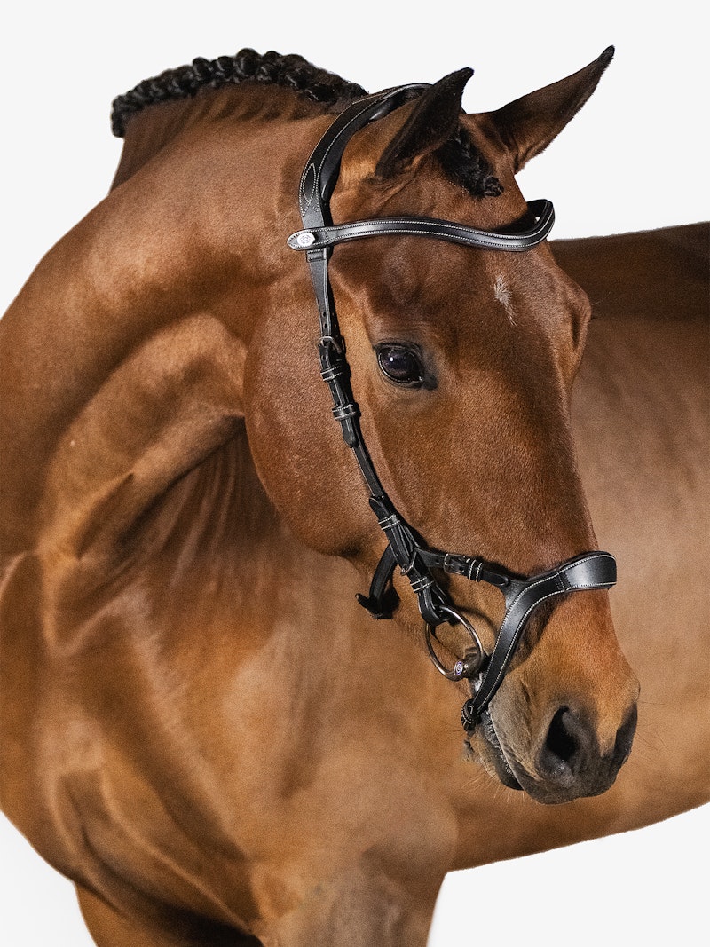 Nirak Bridle + Reins Santa Fe Nirak Bridle + Reins Santa Fe