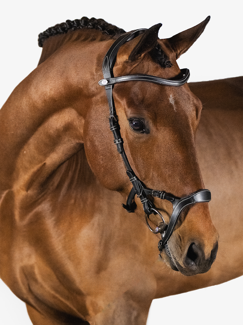 Nirak Bridle + Reins Santa Fe Nirak Bridle + Reins Santa Fe