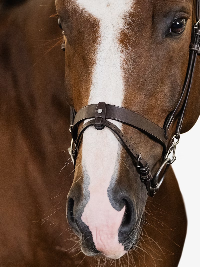 London Bridle + Seoul Martingale