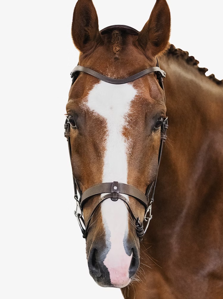 London Bridle + Seoul Martingale