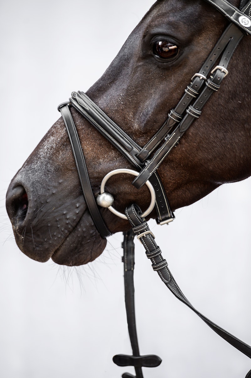 Stockholm Archive Stockholm Archive