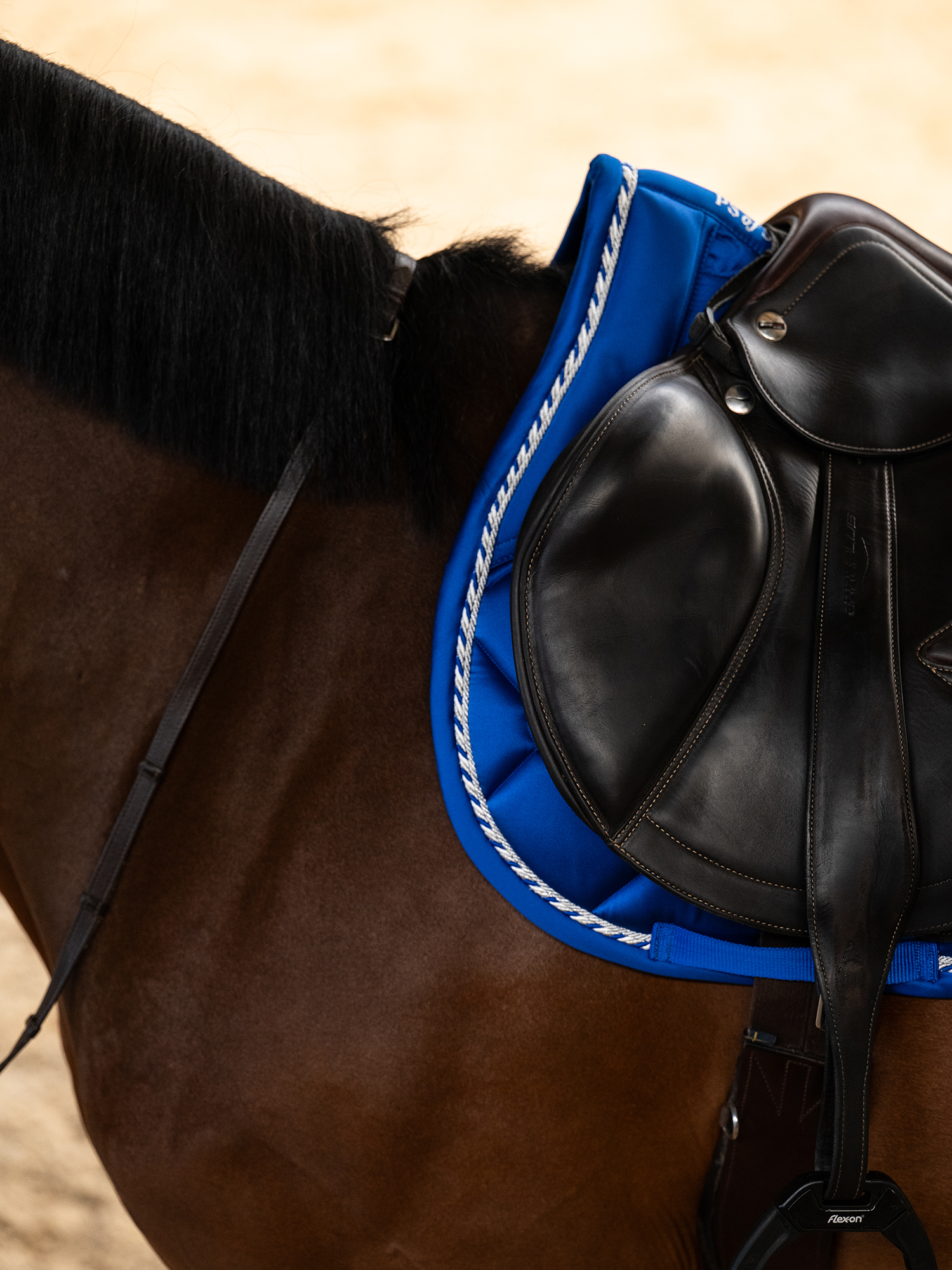 The Original Monogram Jump Saddle Pad