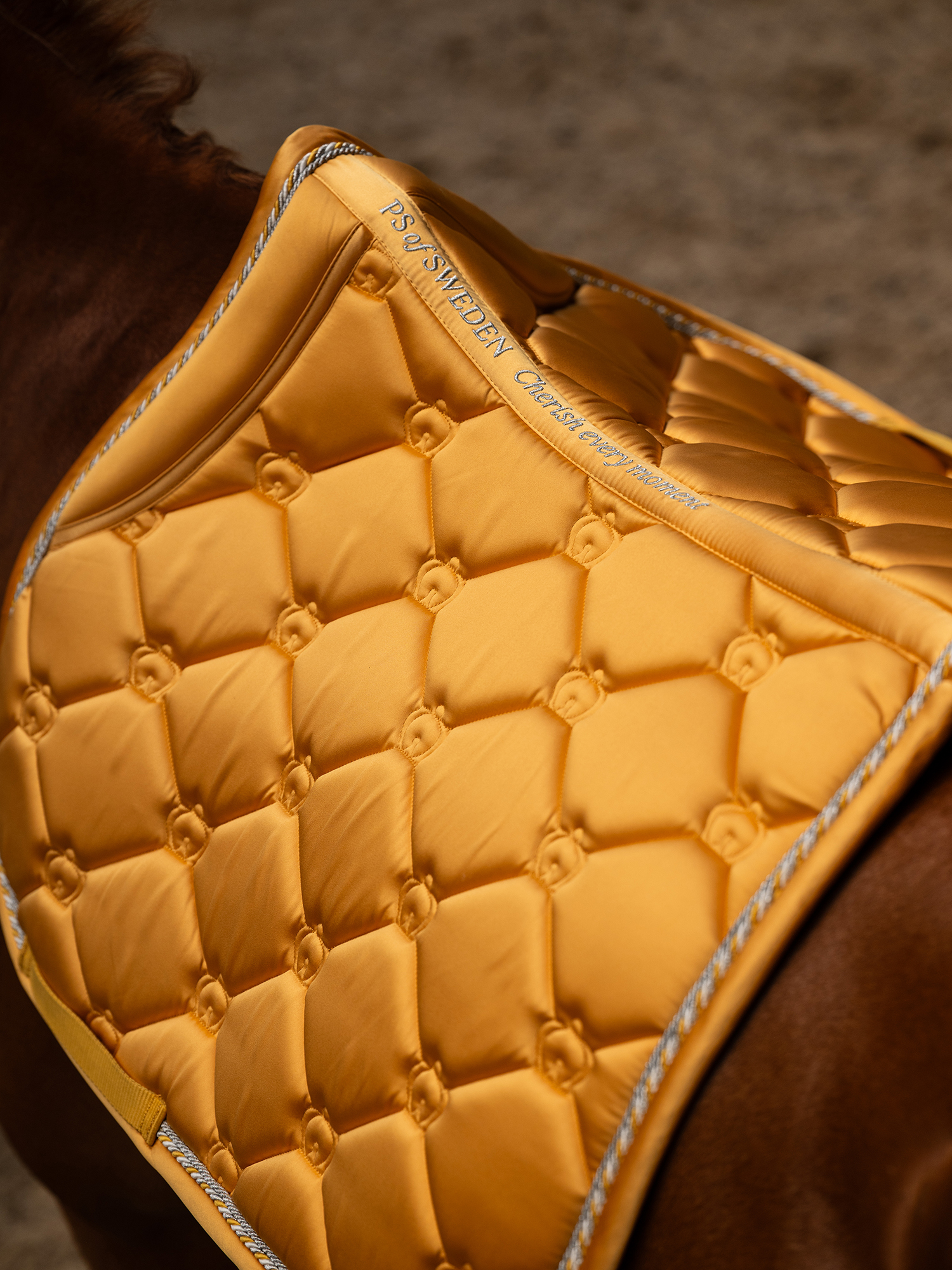 The Original Monogram Jump Saddle Pad
