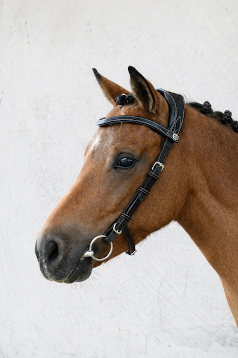 Bridle Helsinki Pony Bridle Helsinki Pony