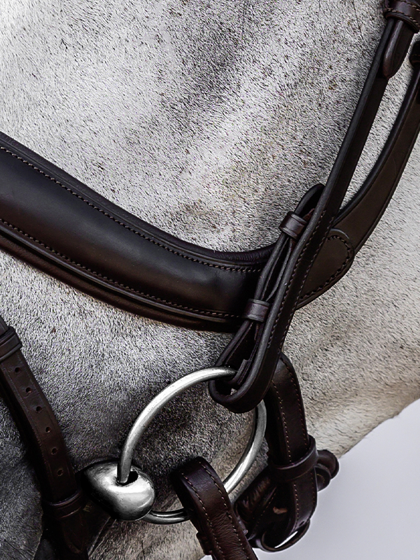 Bridle Paladin with Throatlatch