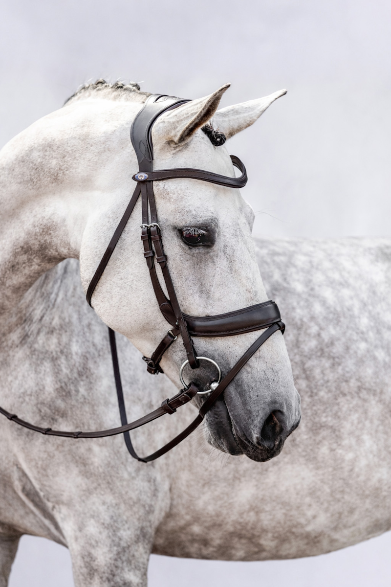 Bridle Paladin with Throatlatch Bridle Paladin with Throatlatch