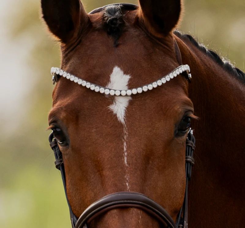 Browband Slim Crystal Browband Slim Crystal