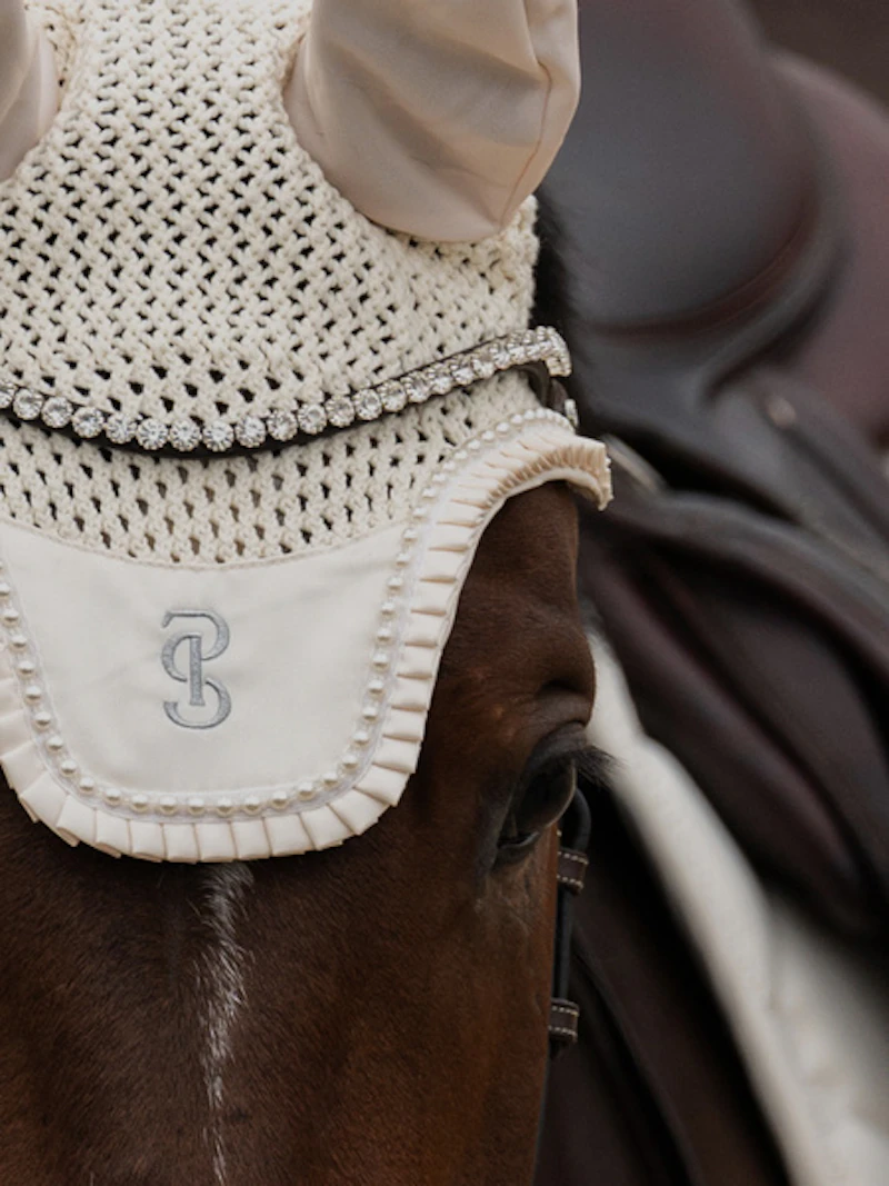 Browband Slim Crystal Browband Slim Crystal
