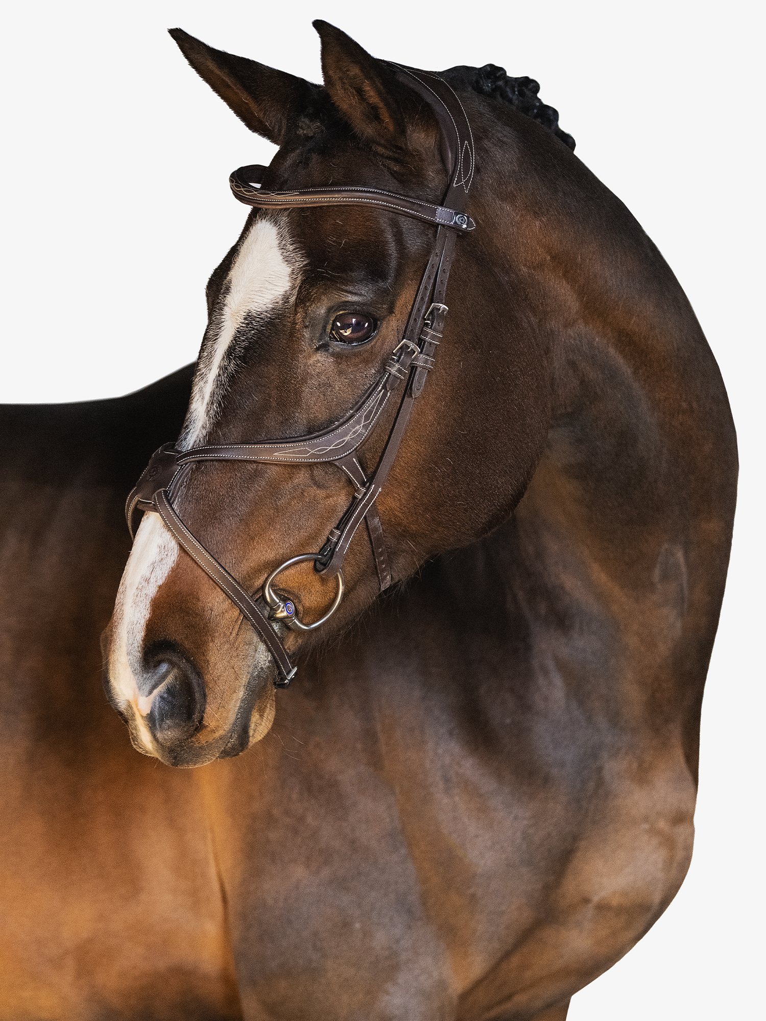 Athens Bridle + Melbourne Breastplate