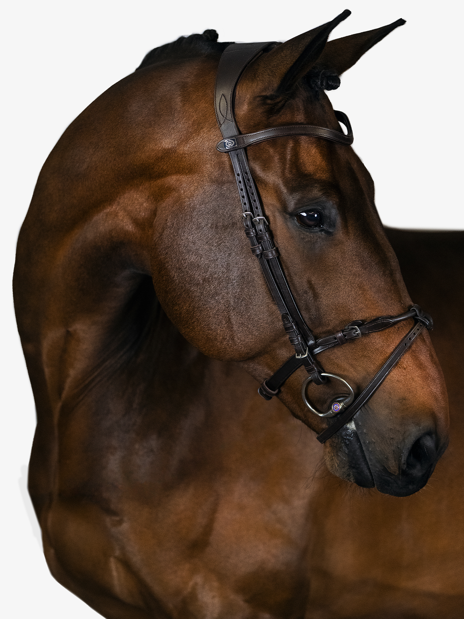 Mary Lou Bridle + Beijing Breastplate