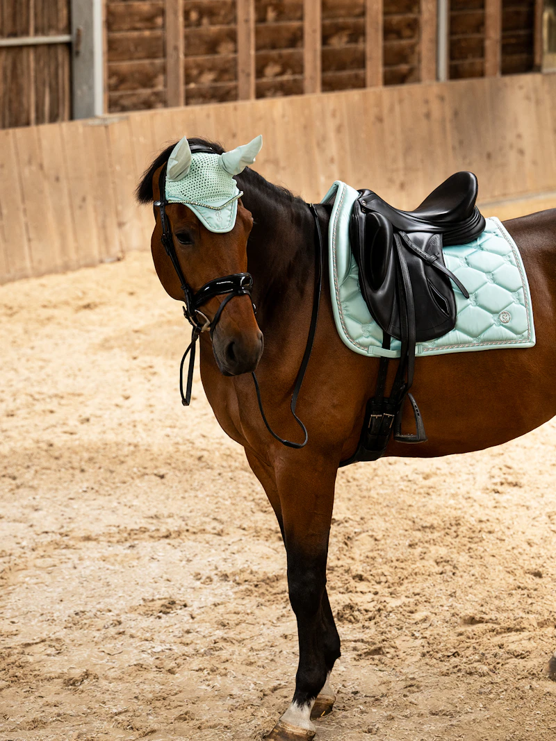 Signature Dressage Saddle Pad + Ear Bonnet Arctic Aqua Signature Dressage Saddle Pad + Ear Bonnet Arctic Aqua