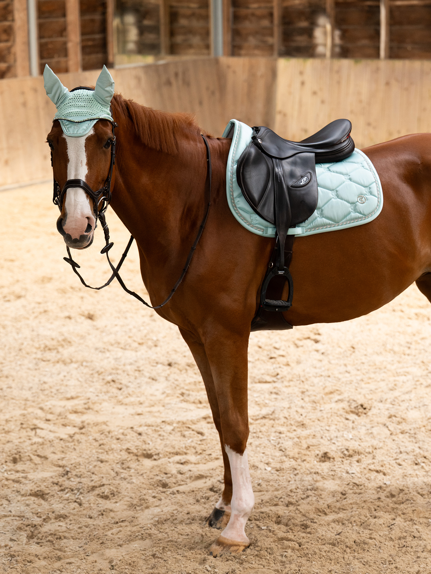 Signature Jump Saddle Pad + Ear Bonnet Arctic Aqua