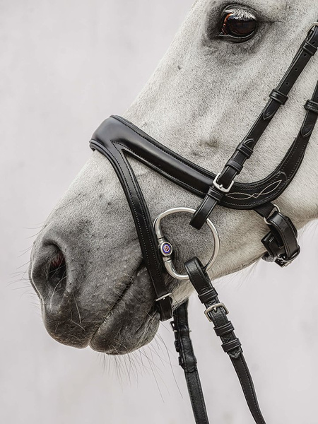 Jump Off Bridle + Reins Santa Fe