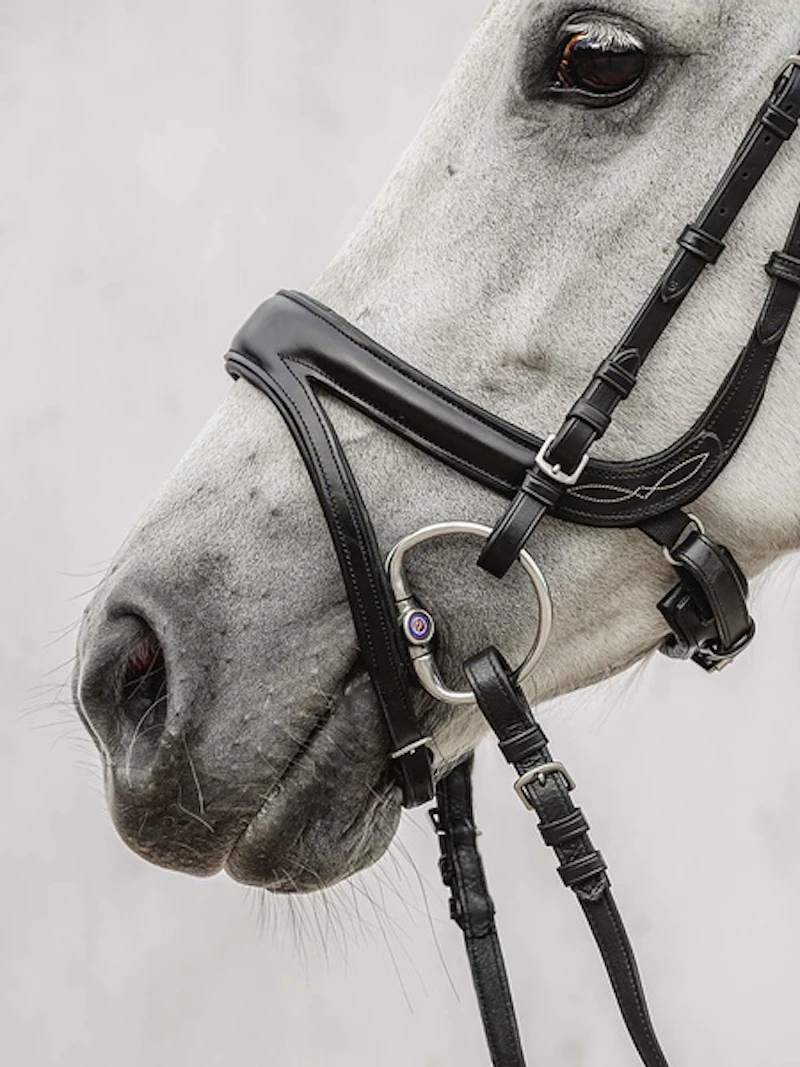 Jump Off Bridle + Reins Santa Fe Jump Off Bridle + Reins Santa Fe