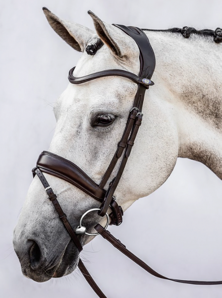 Noseband Flying Change