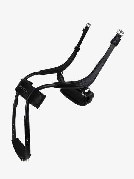 Noseband High Jump