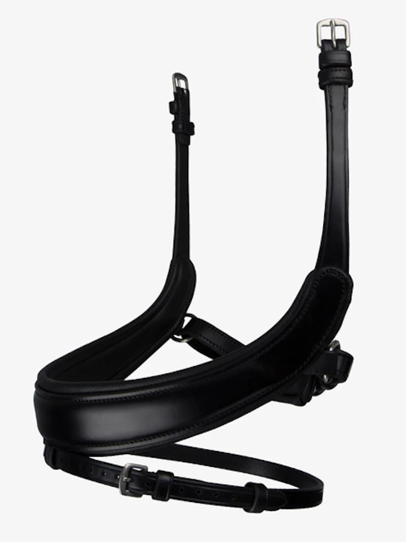 Noseband Paladin Noseband Paladin