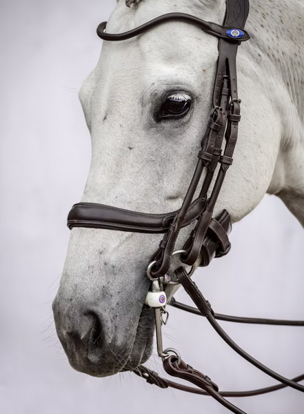 Noseband Paragon