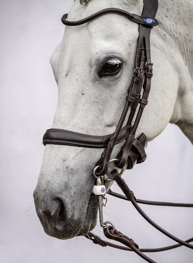 Noseband Paragon Noseband Paragon