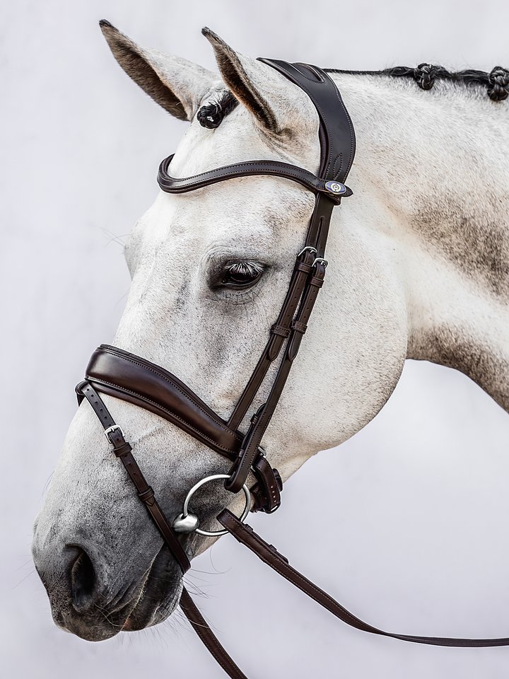 Flying Change Bridle + Dubai Flat Dressage Reins