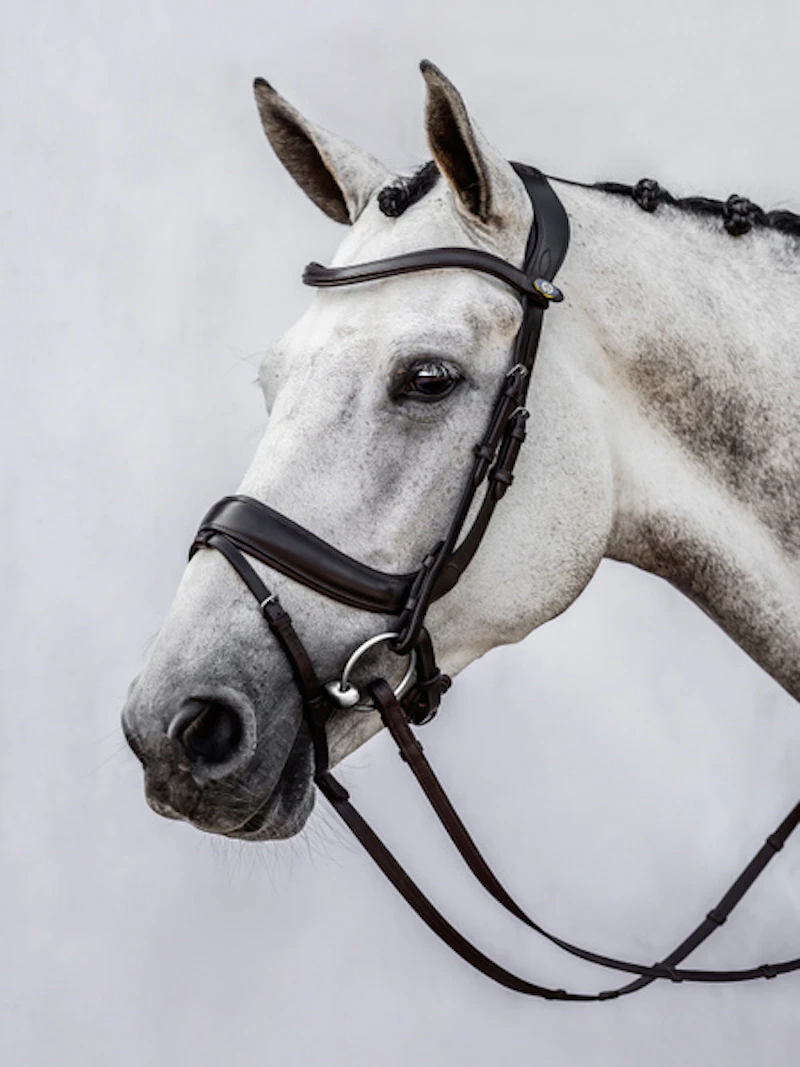 Paladin Bridle + Dubai Flat Dressage Reins Paladin Bridle + Dubai Flat Dressage Reins