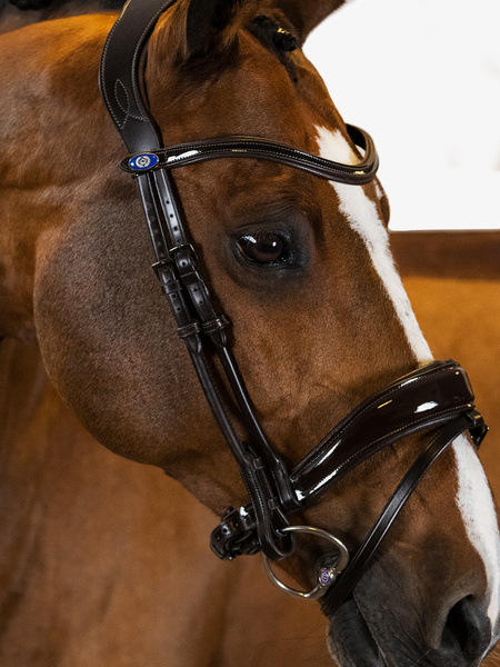 Flying Change Deluxe Bridle