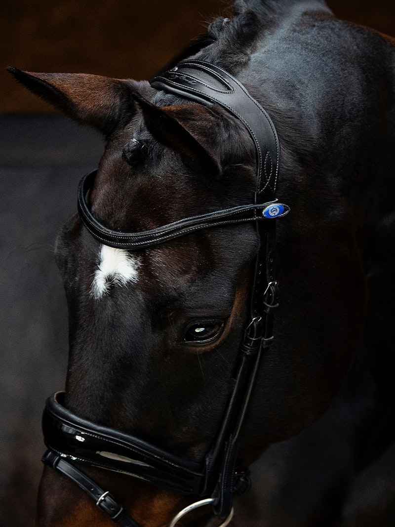 Flying Change Deluxe Bridle + Browband Sleek Snow White
