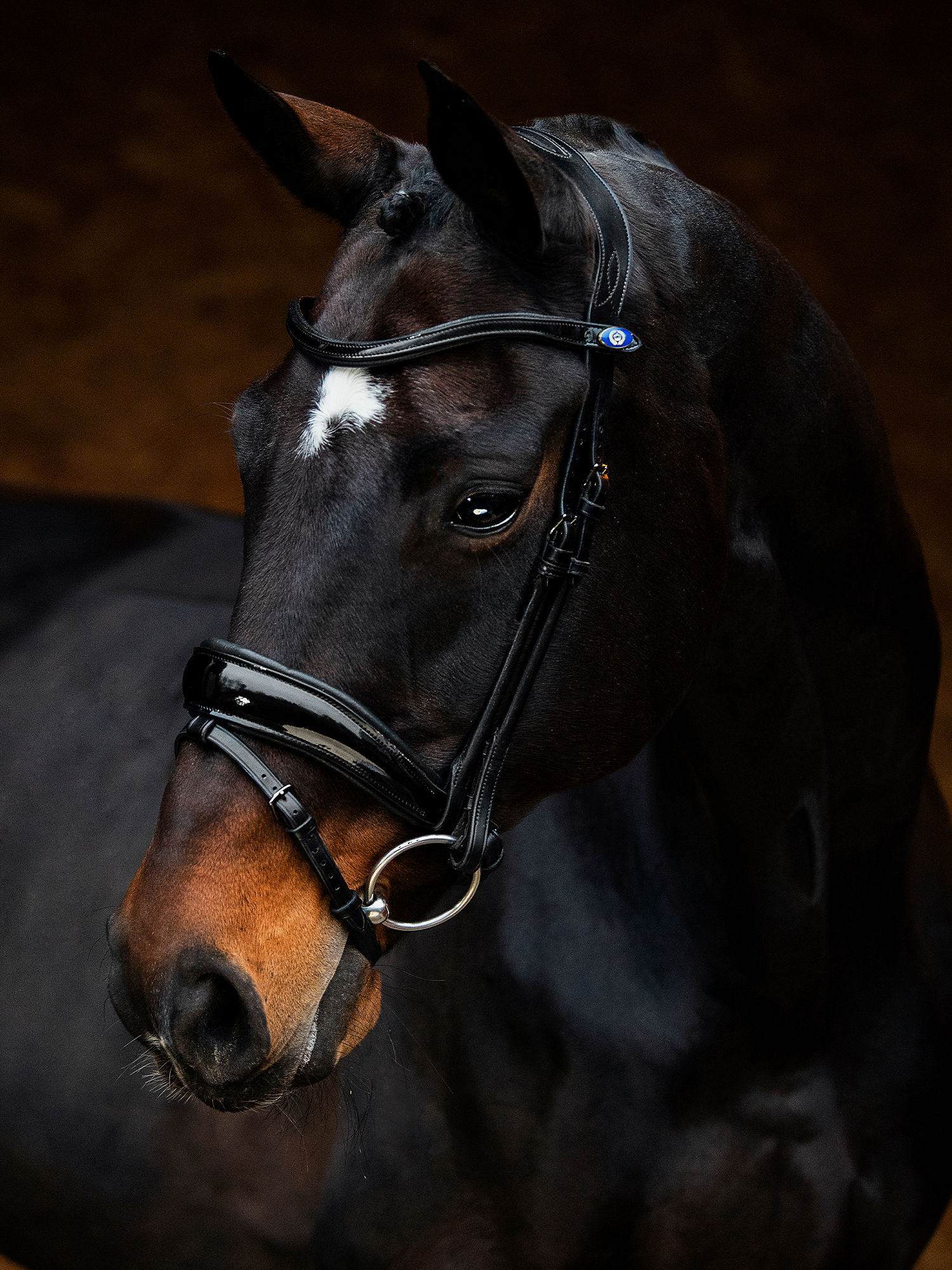 Flying Change Deluxe Bridle + Dubai Flat Dressage Reins