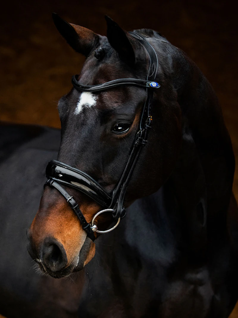 Flying Change Deluxe Bridle + Dubai Flat Dressage Reins Flying Change Deluxe Bridle + Dubai Flat Dressage Reins