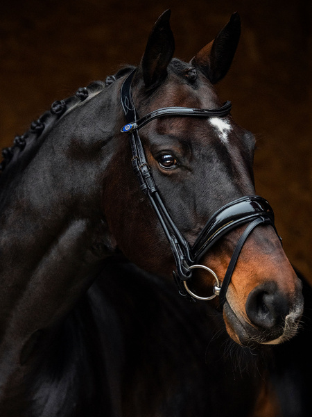 Flying Change Deluxe Bridle + Dubai Flat Dressage Reins
