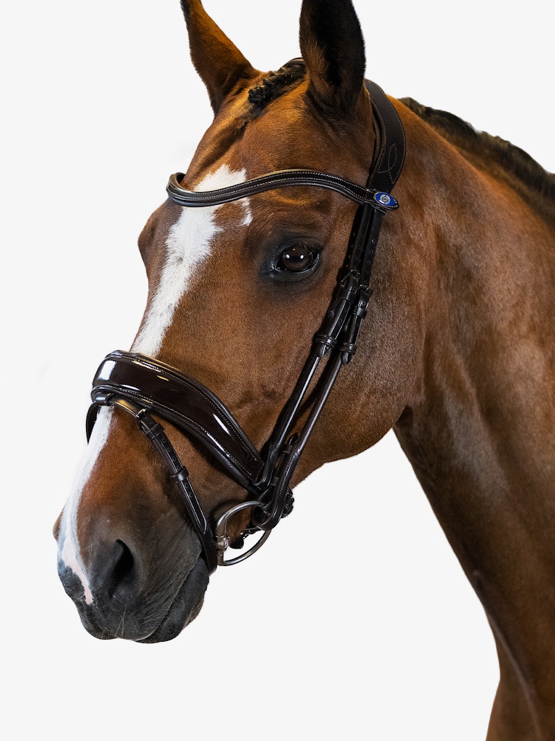 Flying Change Deluxe Bridle Flying Change Deluxe Bridle