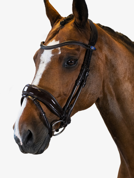 Flying Change Deluxe Bridle