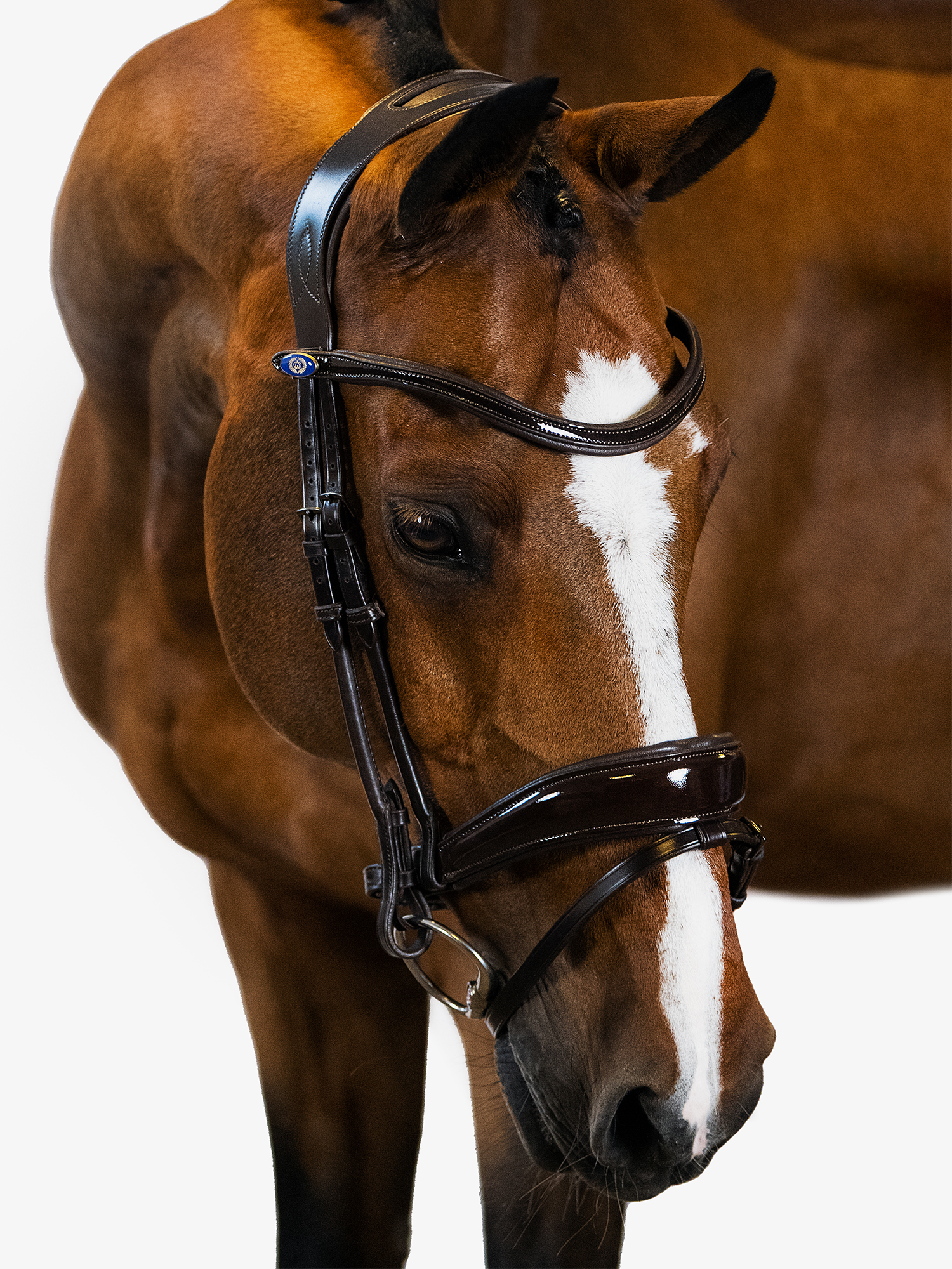 Flying Change Deluxe Bridle