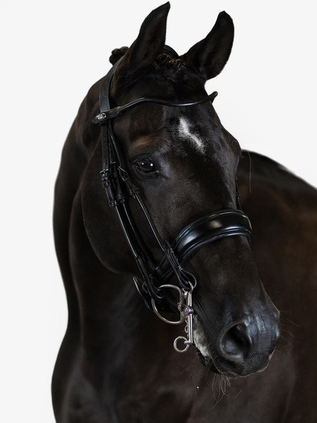 Passage Double Bridle