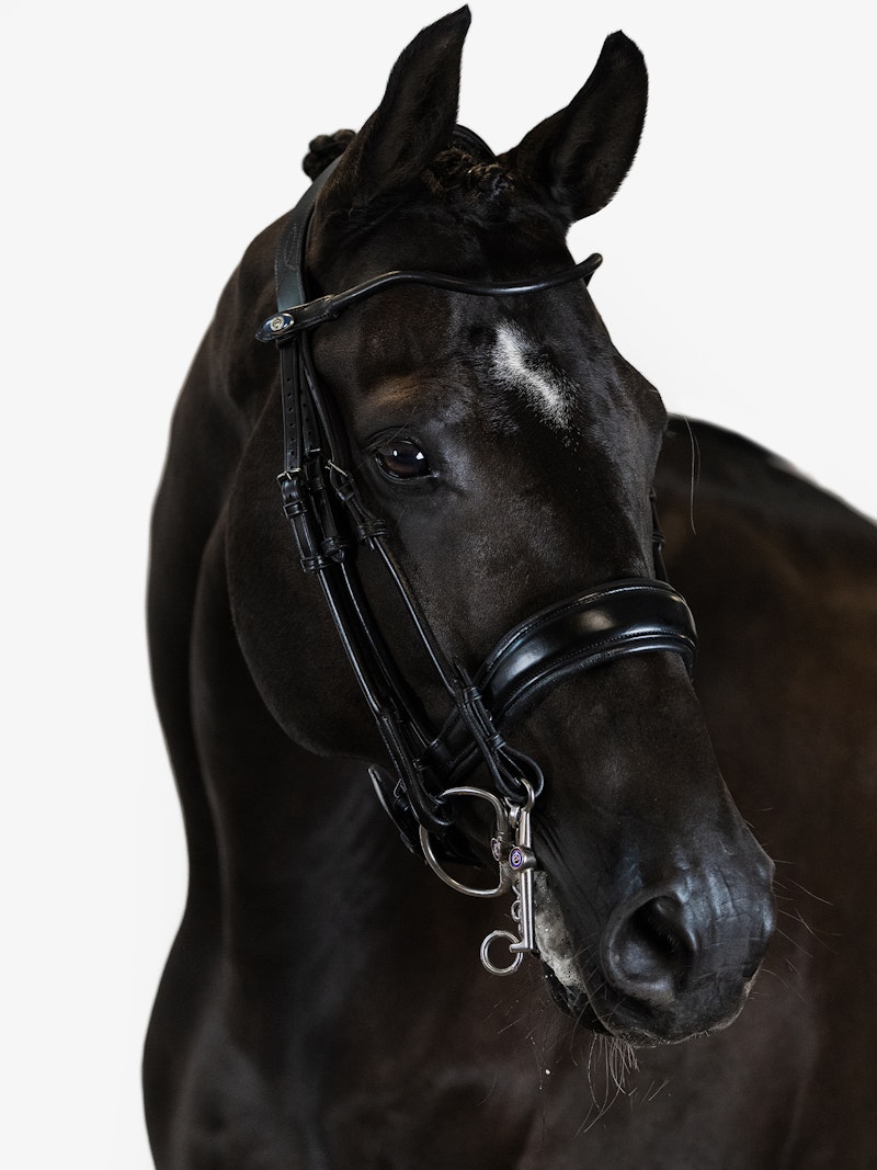 Passage Double Bridle + Dubai Flat Dressage Reins Passage Double Bridle + Dubai Flat Dressage Reins