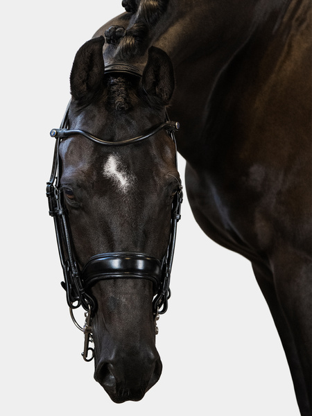 Passage Double Bridle