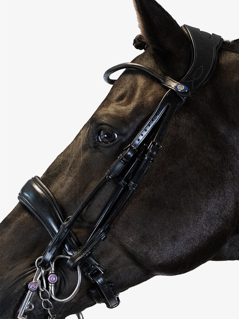 Passage Double Bridle + Browband Crystal Black