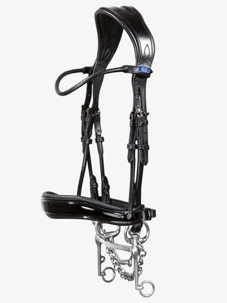 Passage Lacqured Double Bridle + Dubai Flat Dressage Reins