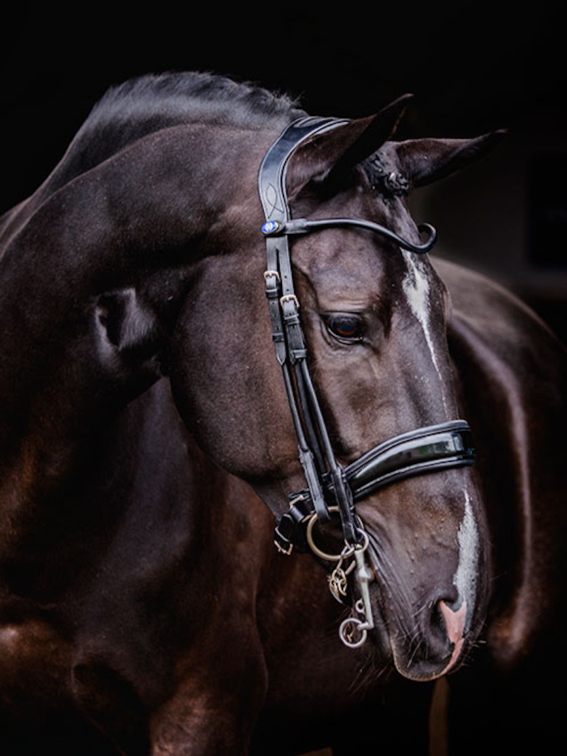 Passage Lacqured Double Bridle + Browband Crystal Black