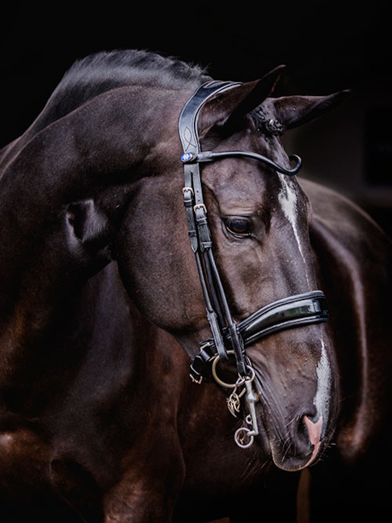 Passage Lacqured Double Bridle + Dubai Flat Dressage Reins Passage Lacqured Double Bridle + Dubai Flat Dressage Reins