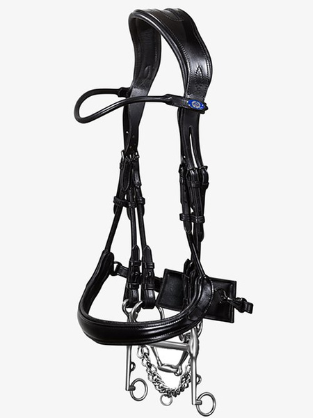 Paragon Double Bridle