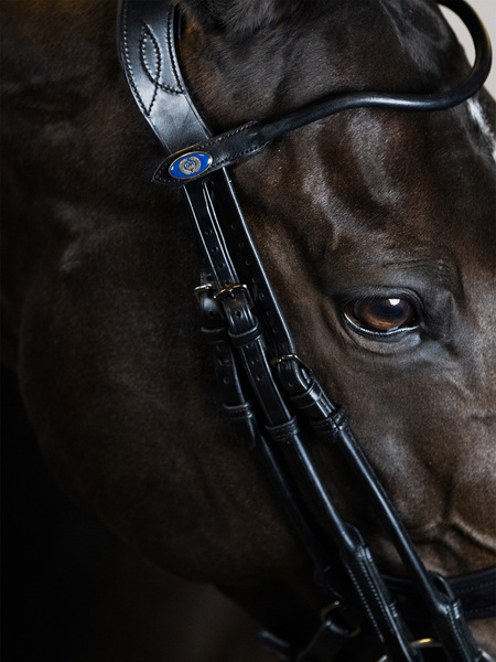 Paragon Double Bridle