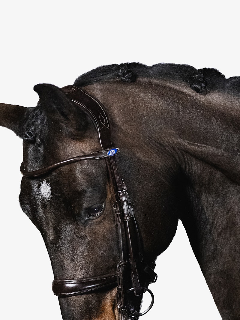 Paragon Double Bridle + Browband Crystal Black