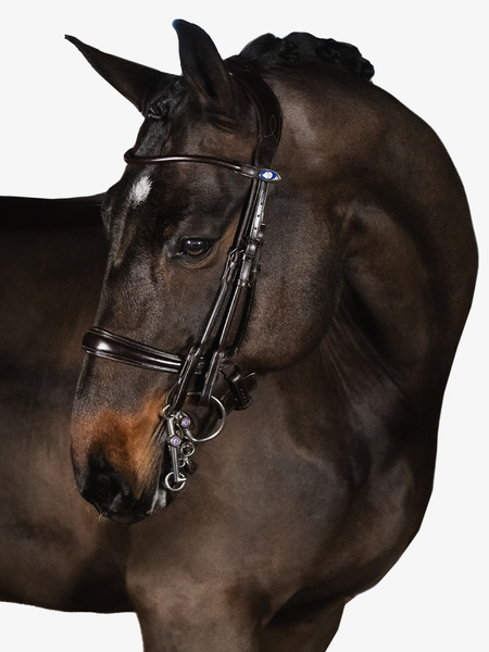 Paragon Double Bridle