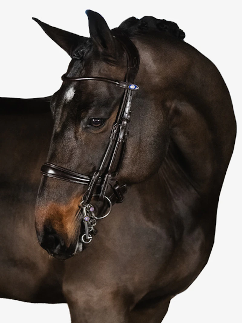 Paragon Double Bridle Paragon Double Bridle