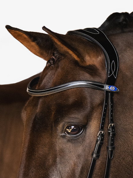 Pioneer Bridle