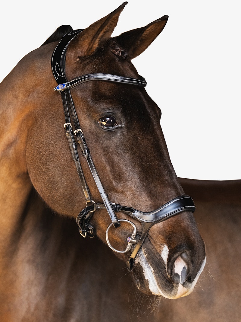 Pioneer Bridle Pioneer Bridle
