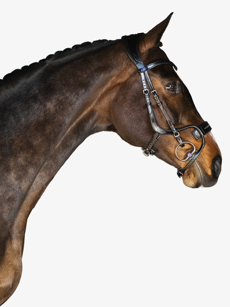 High Jump Bridle