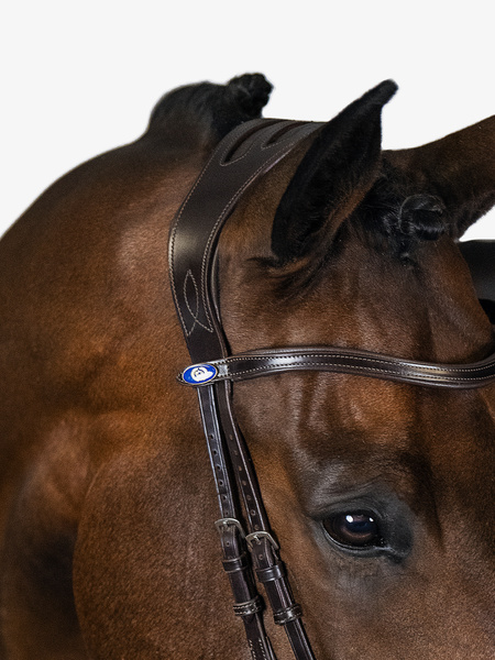 High Jump Bridle